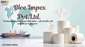 Best Exporter Company in India-Top Tissue Paper & Food Exporter from Delhi