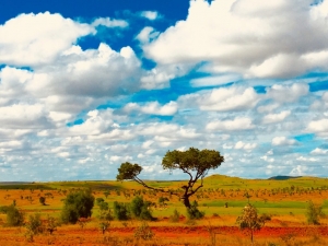 Explore the Wonders of Africa with Our Africa Tour Packages for Tourists