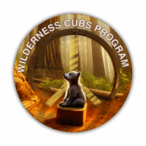 Kentfield Preschool Program for Nurturing Young Minds