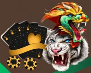 Experience Fast & Reliable Gaming with the Best Betting ID Provider