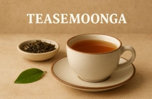 Teasemoonga: A Hidden Gem of Tradition and Taste