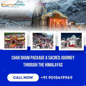 Char Dham Package 