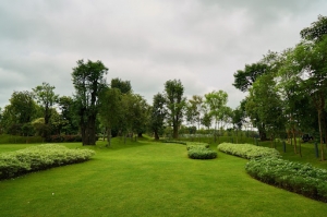 What Makes Great City Green Space?
