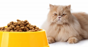 Free Dog Food Delivery for Caring Pet Owners
