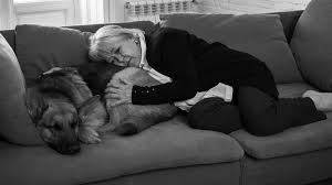 Top 10 Worst Things About Losing a Pet