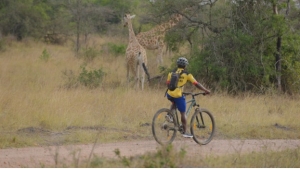 Best Gorilla Trekking and Safari Holidays in Uganda: