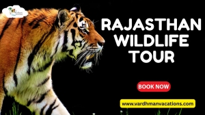 Top Wildlife Spots in Rajasthan