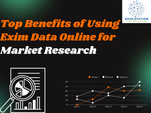 Top Benefits of Using Exim Data Online for Market Research