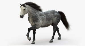 Unleash creativity with our collection of wild 3D creatures- Massimo Righi