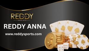 Reddy Anna Login Security: Protecting Your Digital Space