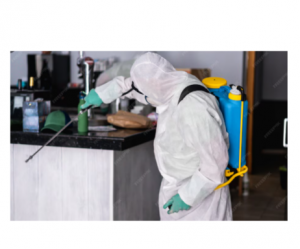 7 Secrets Las Vegas Pest Control Services Don’t Want You to Know