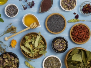 Grow Your Herbal Business with Shelmak Lifesciences Ayurvedic PCD Franchise