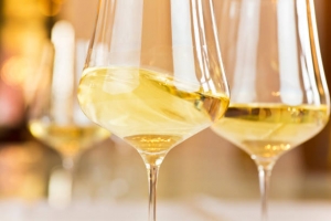 A Journey Through Elegance: Why White Wine Deserves a Place in Every Collection