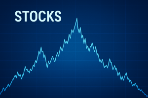 From Stocks To Alternative Assets: Where Do The Rich Invest Their Money With PMS?