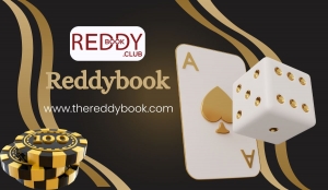 ReddyBook Login Steps: Simple Start for New Users