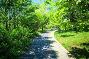 How to Create a Community Plan to Protect Urban Green Spaces