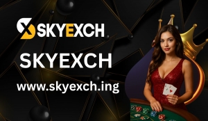 Why Skyexch Login Is Key to Smooth Connectivity