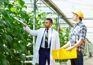 BSc Agriculture Syllabus 2025: Subjects, Fees, and Career Scope