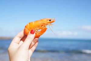 Shrimp Market Size, Share, Key Players 2025 | Reports and Insights