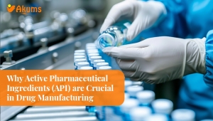 Why Active Pharmaceutical Ingredients (API) are Crucial in Drug Manufacturing