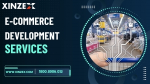 Everything You Should Know About E-commerce Before Starting Your Online Store