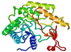 Cellulase Plant Feasibility Report 2025: CapEx/OpEx Analysis with Profitability Forecasts