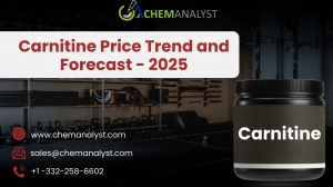 Global Carnitine Market Trends: Q2 2025 Analysis