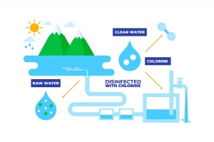 Eco-Friendly Living Made Easy with Freeflush Grey Water Solutions