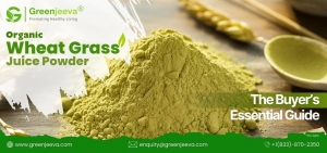 What Bulk Buyers Must Know Before Choosing Organic Wheat Grass Juice Powder 