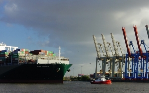 How to Choose the Best Sea Freight Forwarder in Singapore for Your Cargo