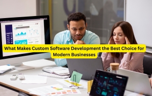 What Makes Custom Software Development the Best Choice for Modern Businesses