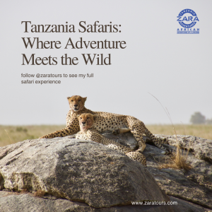 Tanzania Safari Tours: The Ultimate African Adventure