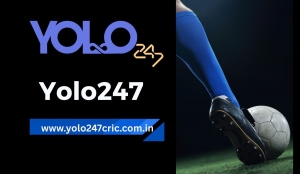 Yolo247 Explained: Your Complete Guide to Tools and Innovation