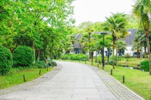 What Benefits Do Green Spaces Provide That We Should Protect?