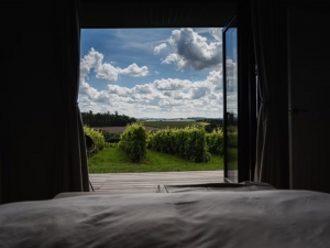 Experience the Ultimate Getaway at Stars and Vines Luxury Lodges