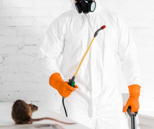 What Advantages Come with Choosing Dubai Rodent Control?