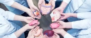 Organ Transplant: Advanced Treatments for a Healthier Future