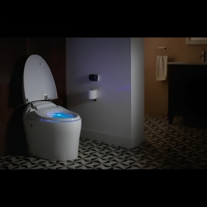 Intelligent Smart Toilet: Blending Technology With Everyday Comfort