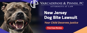 New Jersey Child Dog Bite Lawsuit: A Parent’s Guide to Laws & Compensation