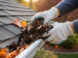 Gutter Cleaning Winnipeg Eavestrough Cleaning Services
