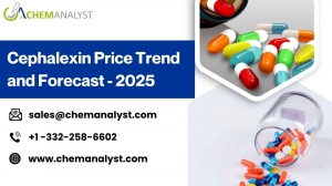Global Cephalexin Market Trends and Price Dynamics – Q2 2025 Overview