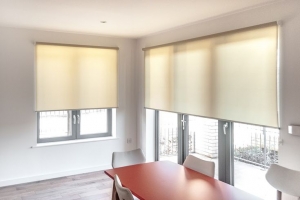 Why Roller Blinds Are the Smartest Choice for Modern Homes