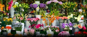 FlowersMart – Find New Same Day Flower Delivery with Luxury Bouquet
