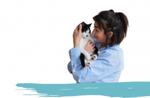 How Pet Euthanasia Ensures Dignity and Comfort for Pets