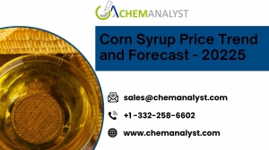 Global Corn Syrup Market Trends – June 2025 Overview