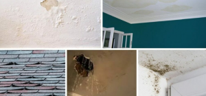 How to Maintain Your Roof and Repair Leaks in Long Island
