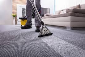 Fully Insured Carpet Cleaning Services You Can Trust