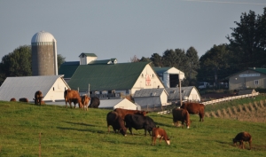 Finding the Right Sate Farm Near Me: Everything You Need to Know