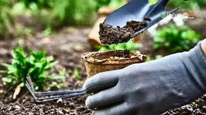 Soil Preparation Tips for Vegetable Farming