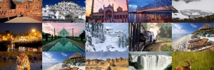 Explore India with the Best India Tour Packages and Wildlife Tour Packages India